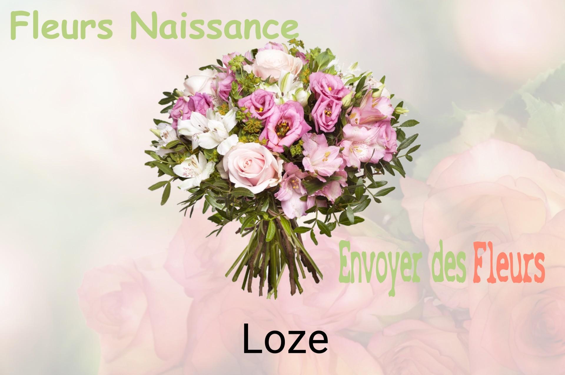 Bouquet de fleurs de naissance livré à Loze
